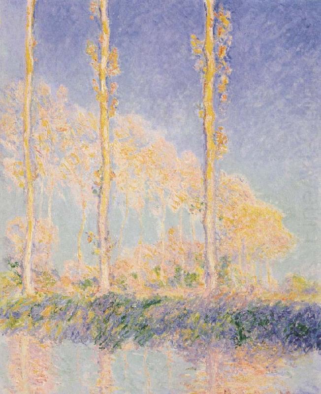 Claude Monet Three Poplars,Autumn Effect china oil painting image